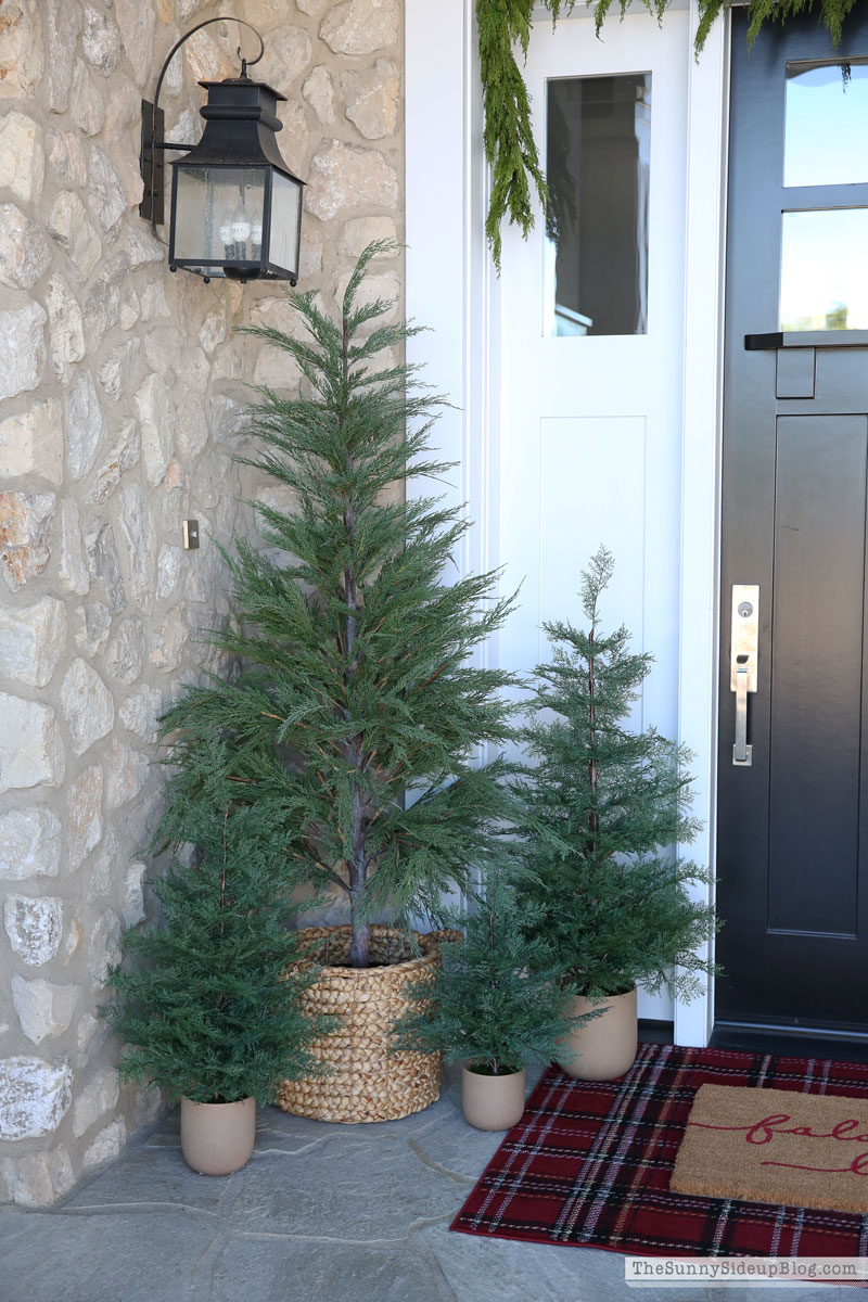 Holiday Recap/N sale (Sunny Lifestyles)