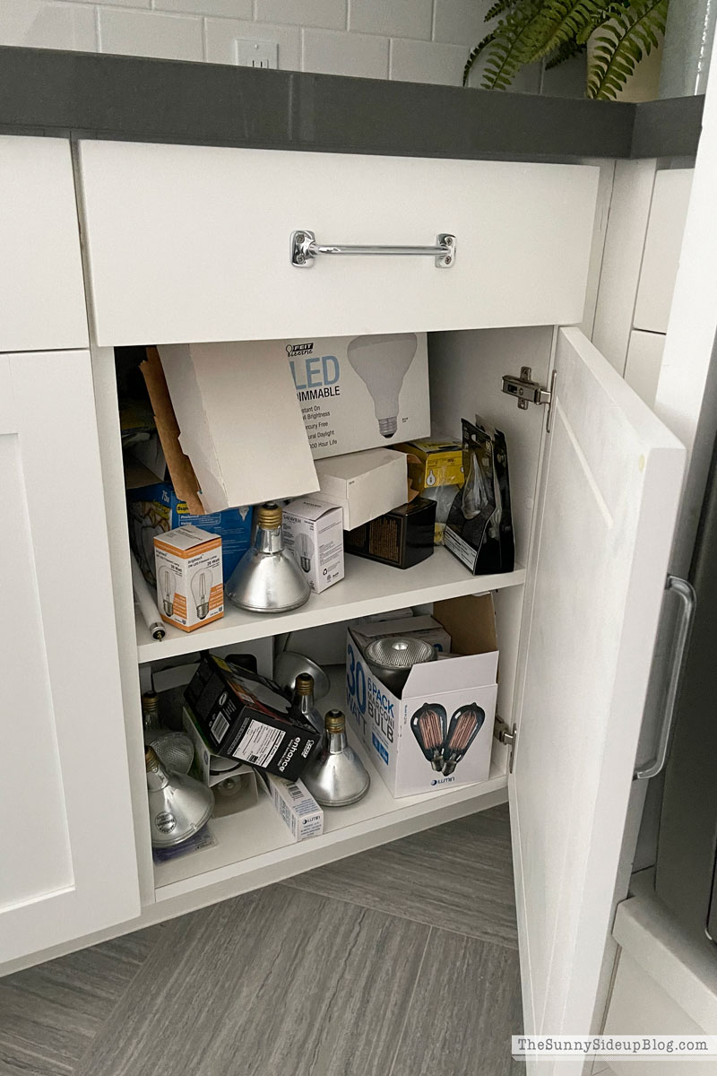 Organized Laundry Room (Sunny Lifestyles)