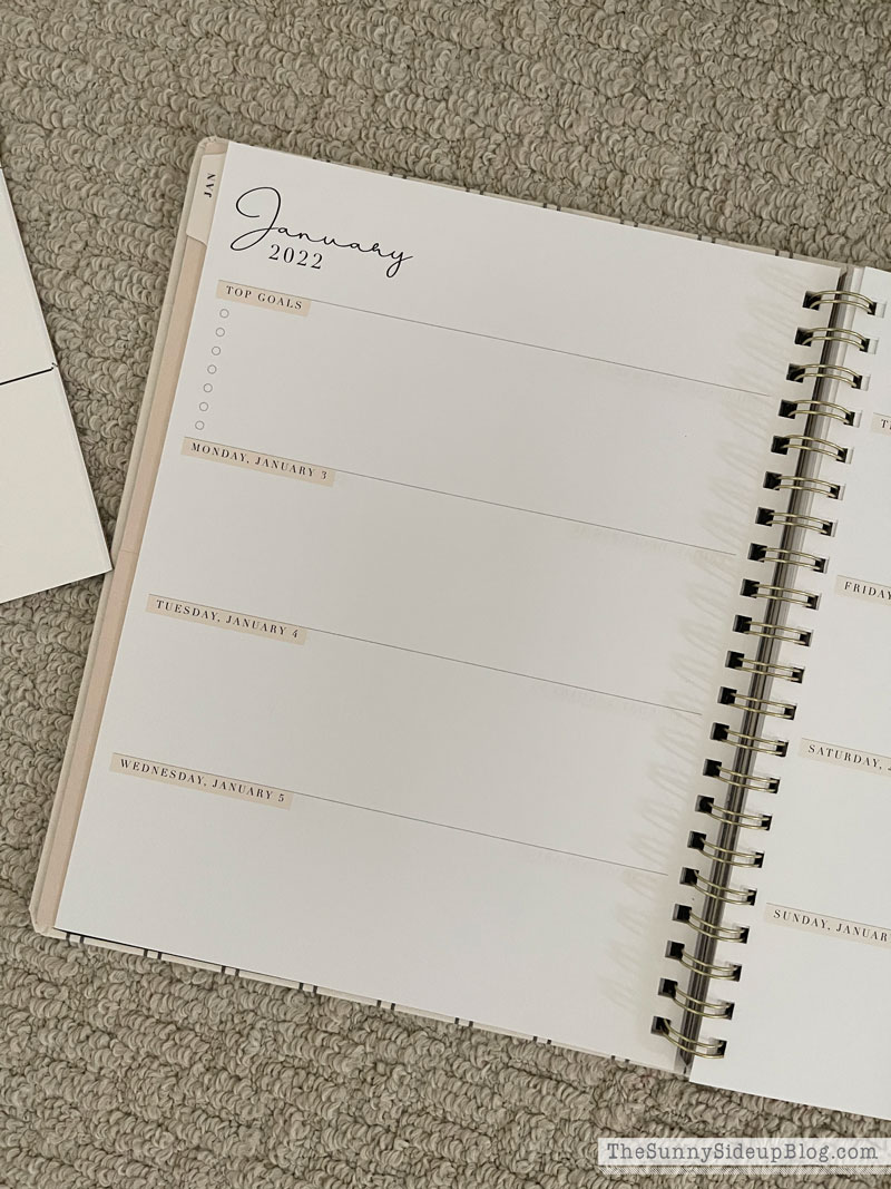 New Year Essentials (Sunny Lifestyles)