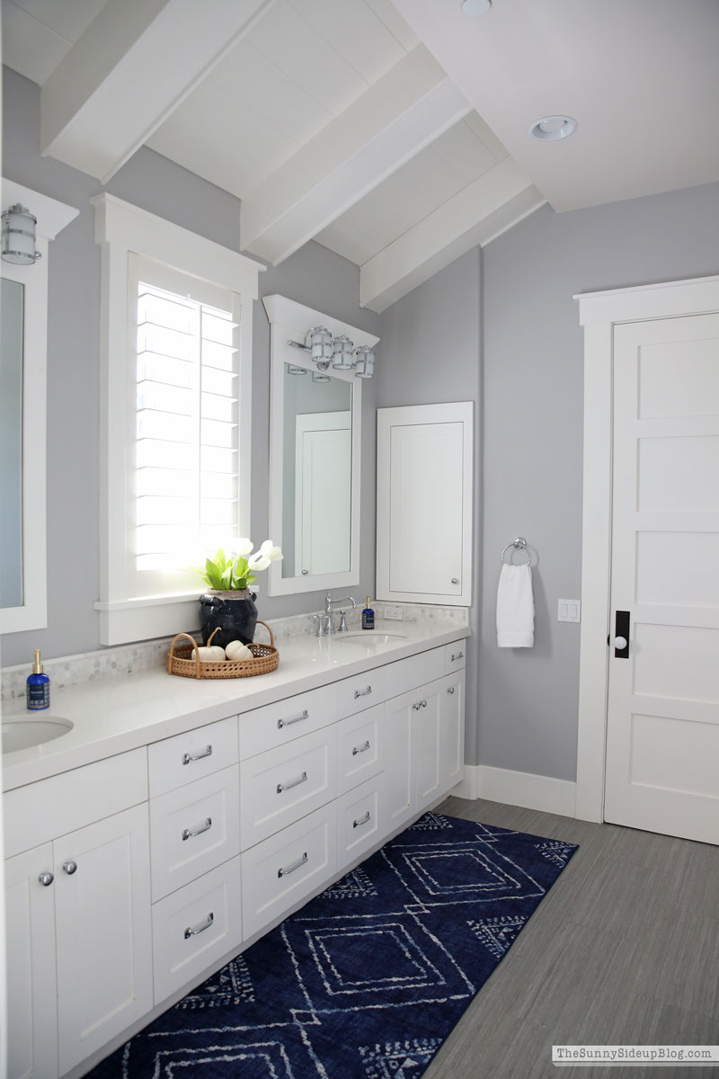 Bathroom Organization (Sunny Lifestyles)
