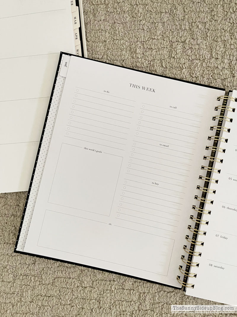 New Year Essentials (Sunny Lifestyles)