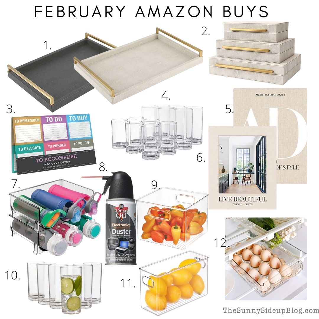 February Amazon Buys (Sunny Lifestyles)