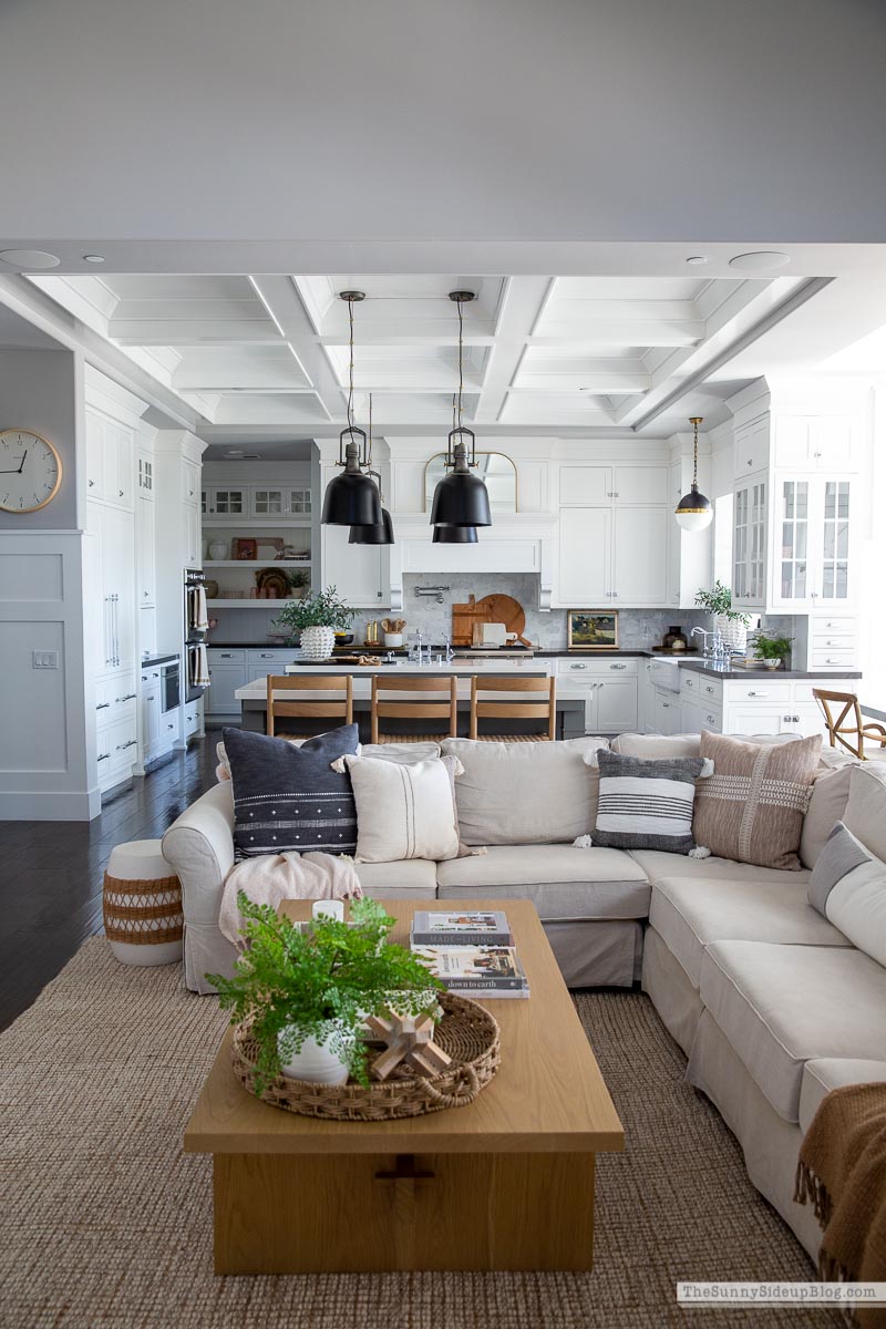 Spring Family Room (Sunny Lifestyles)