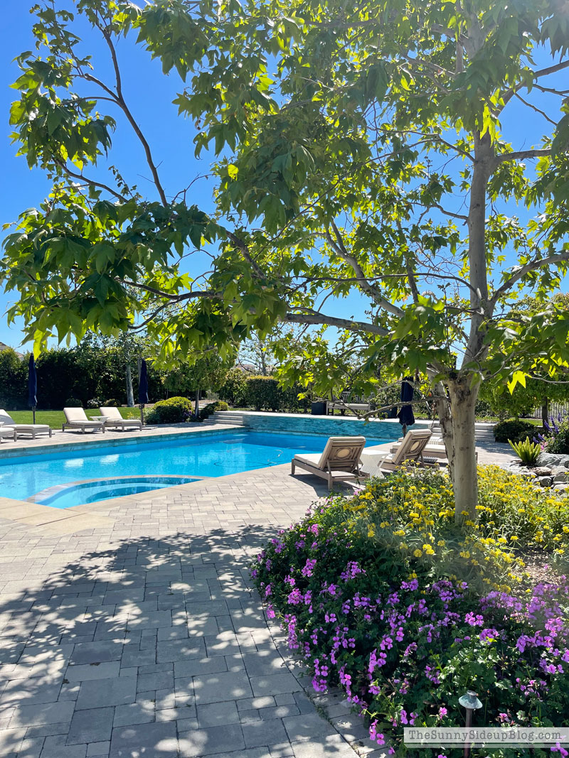 Outdoor furniture re-fresh (Sunny Lifestyles)
