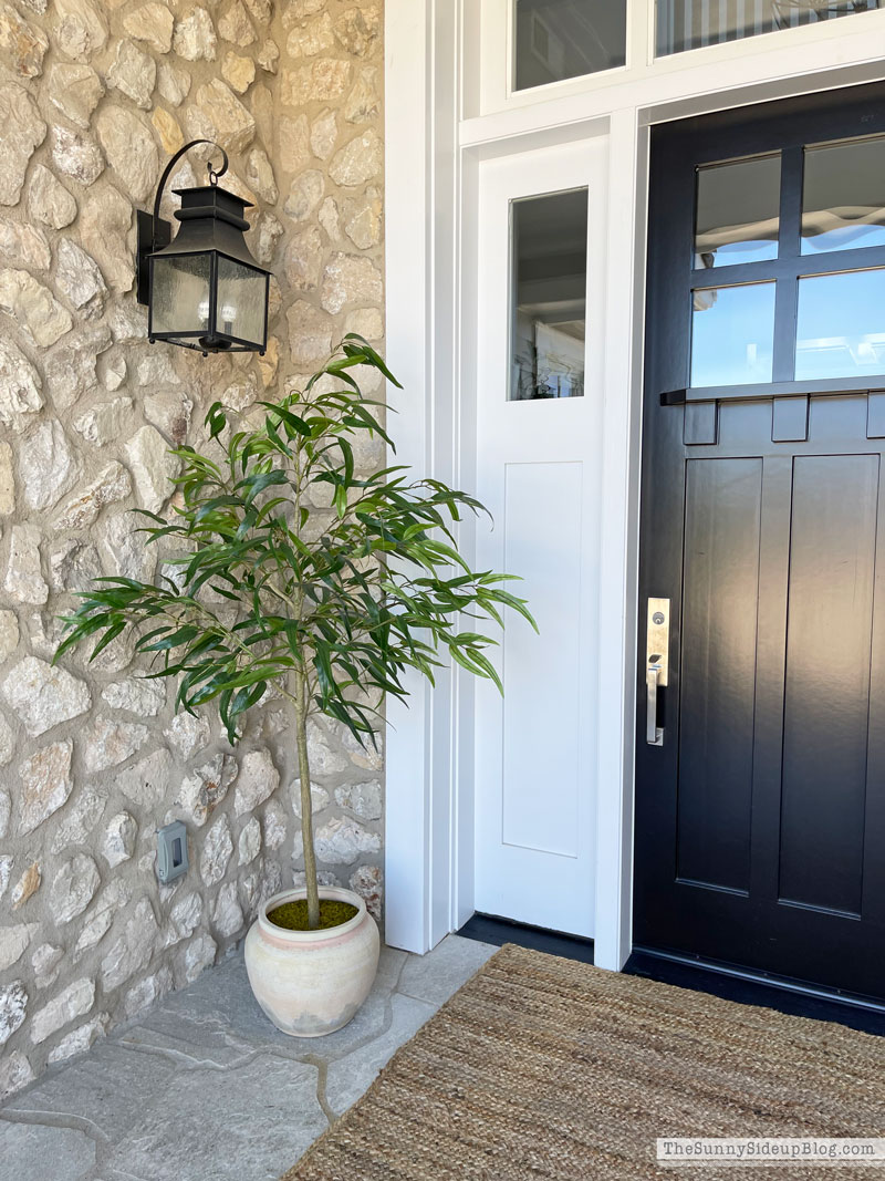 Spring Cleaning Tips (Sunny Lifestyles)