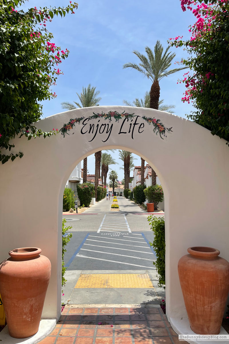 April/May Amazon Buys (Sunny Lifestyles)