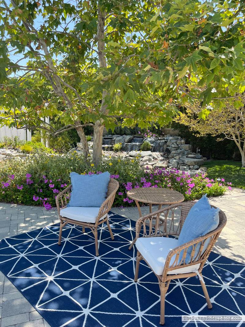 Rattan Outdoor Furniture (Sunny Lifestyles)