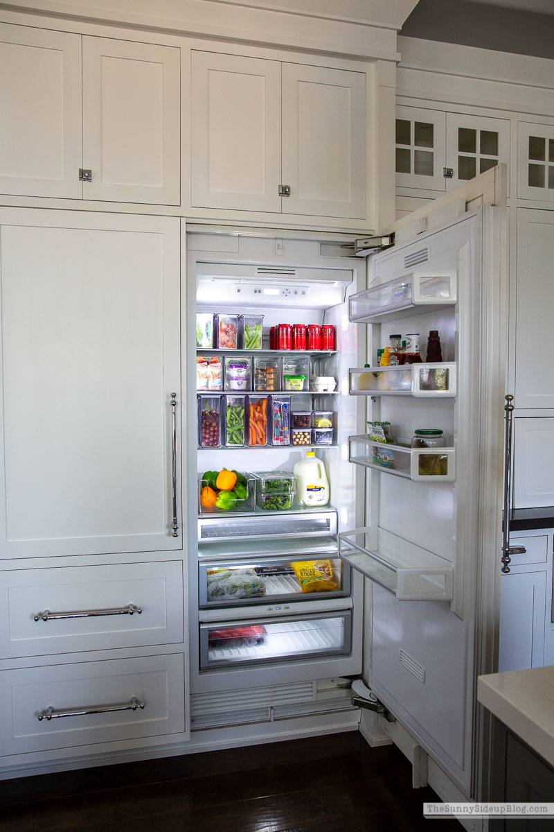 Organized Fridge (Sunny Lifestyles)