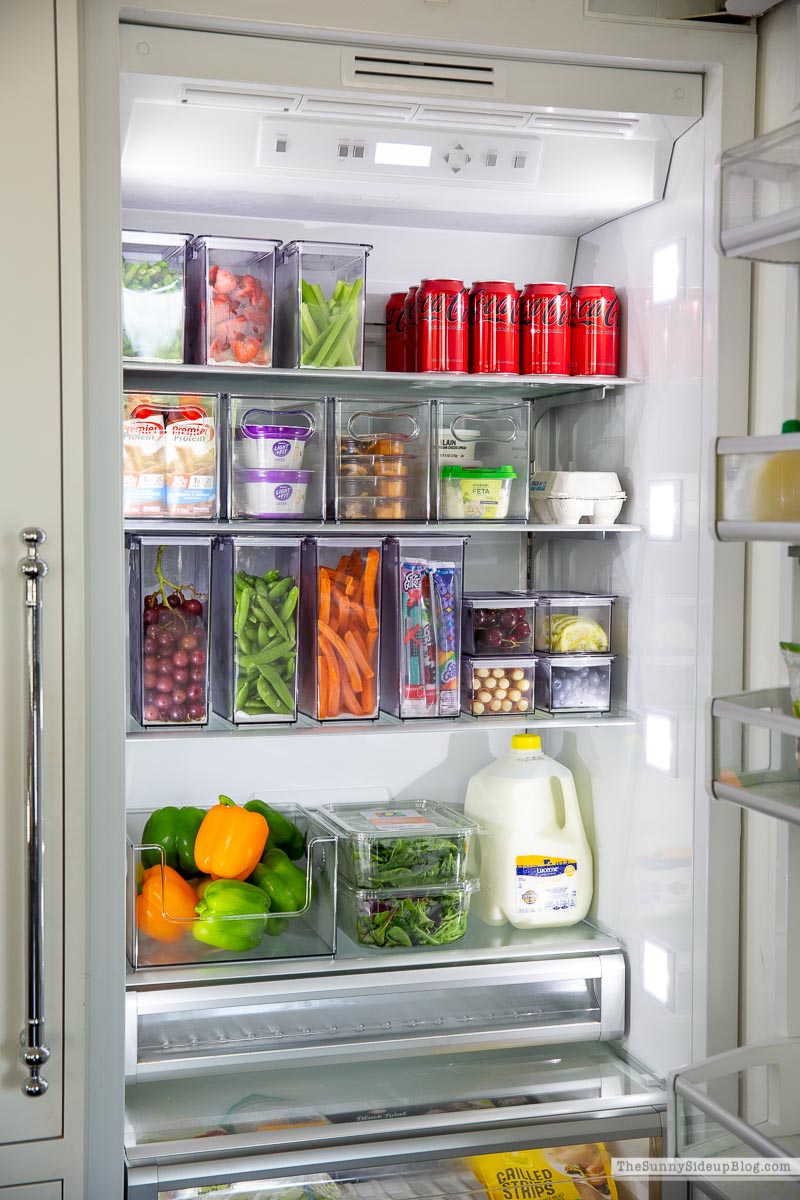 Organized Fridge (Sunny Lifestyles)