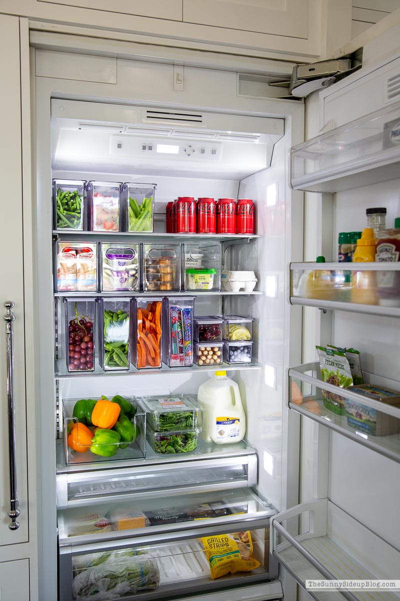 Organized Fridge (Sunny Lifestyles)