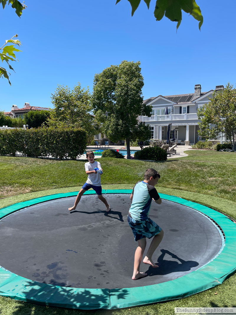 Backyard Fun (Sunny Lifestyles)