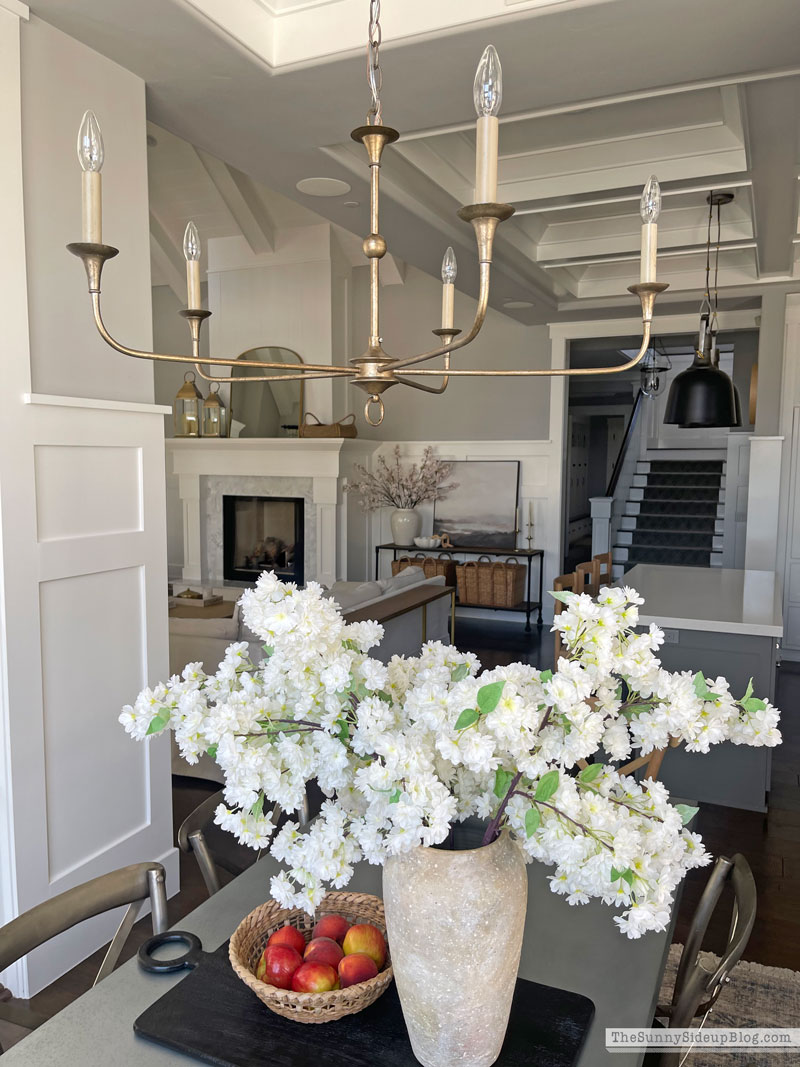 New Chandelier (Sunny Lifestyles)