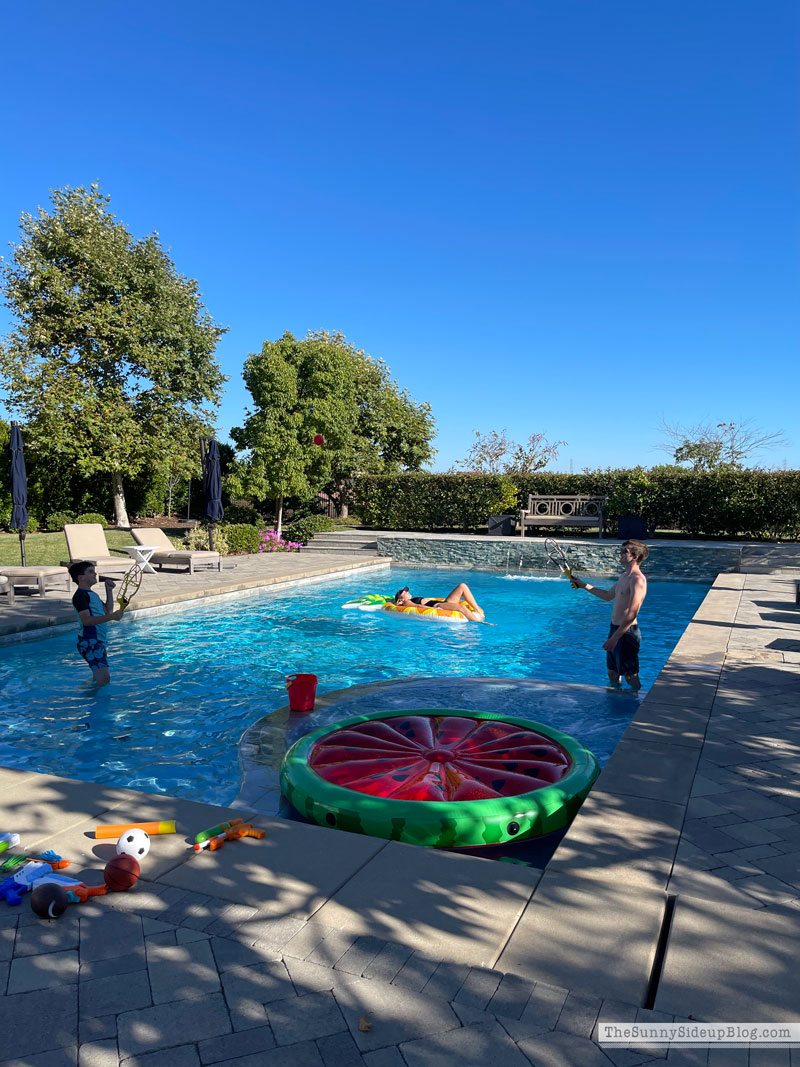 Backyard Fun (Sunny Lifestyles)