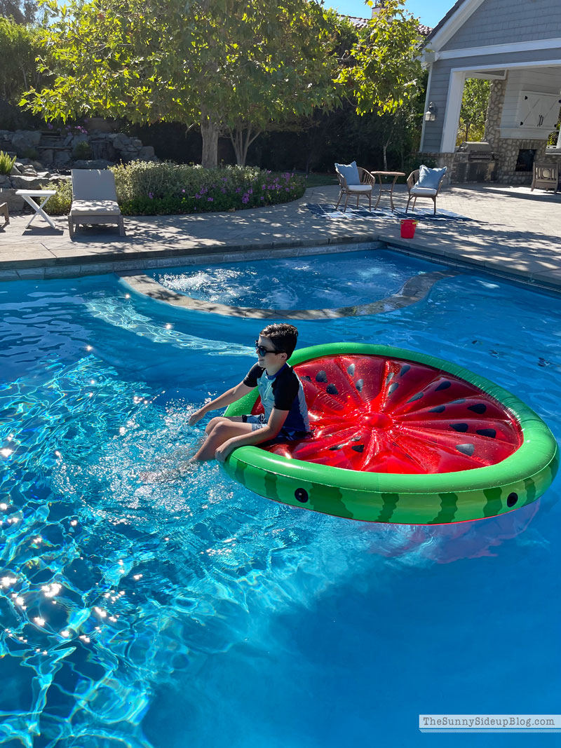 Backyard Fun (Sunny Lifestyles)