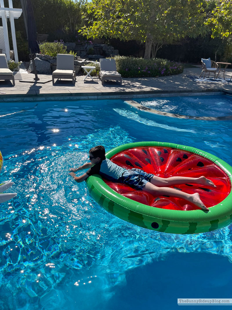 Backyard Fun (Sunny Lifestyles)