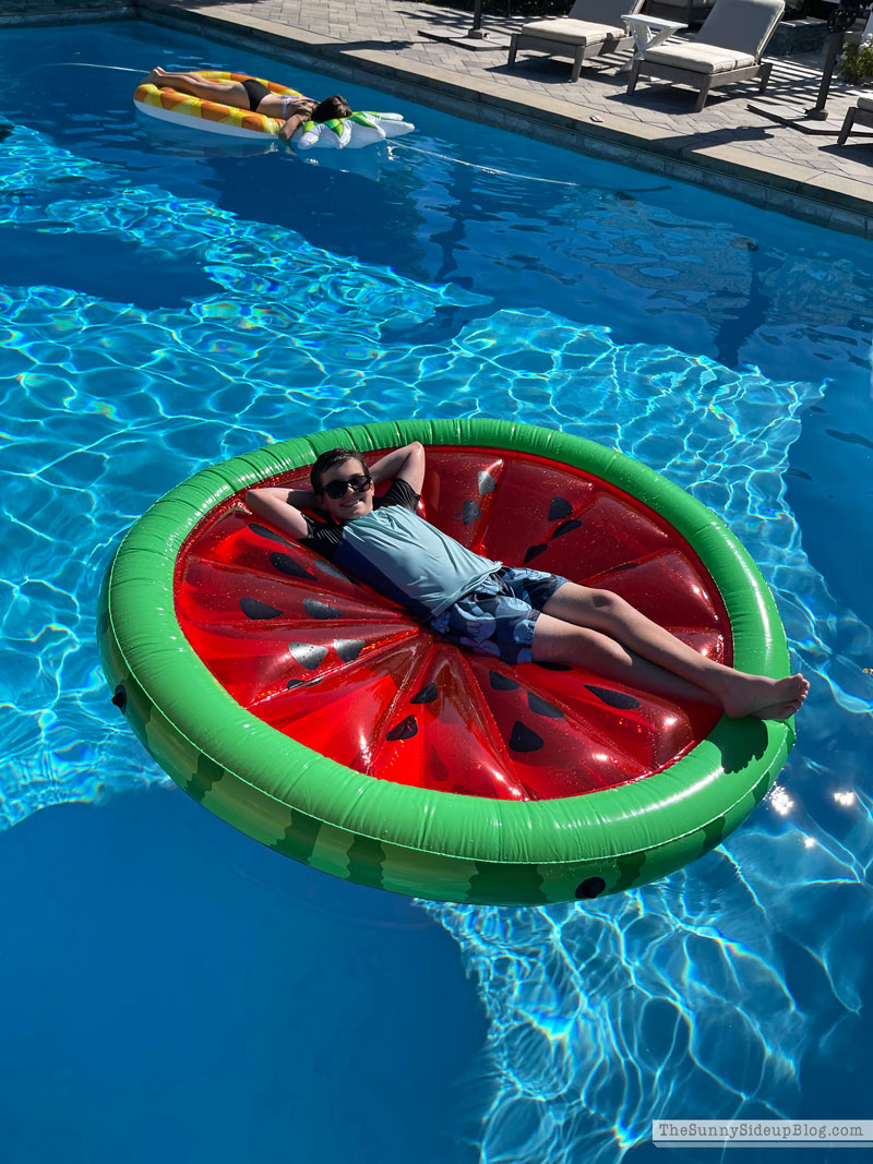 Backyard Fun (Sunny Lifestyles)