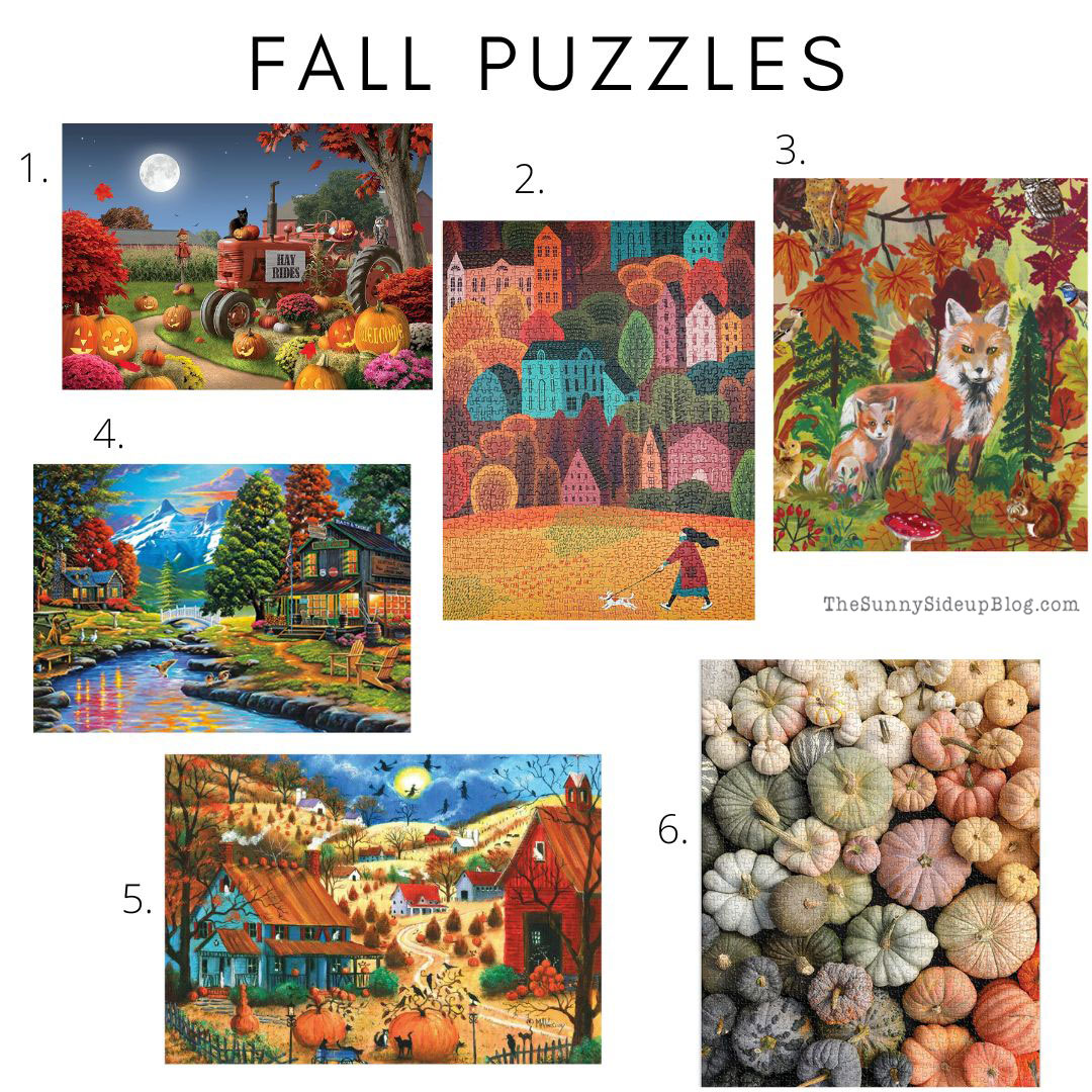 Fall Favorites (Sunny Lifestyles)