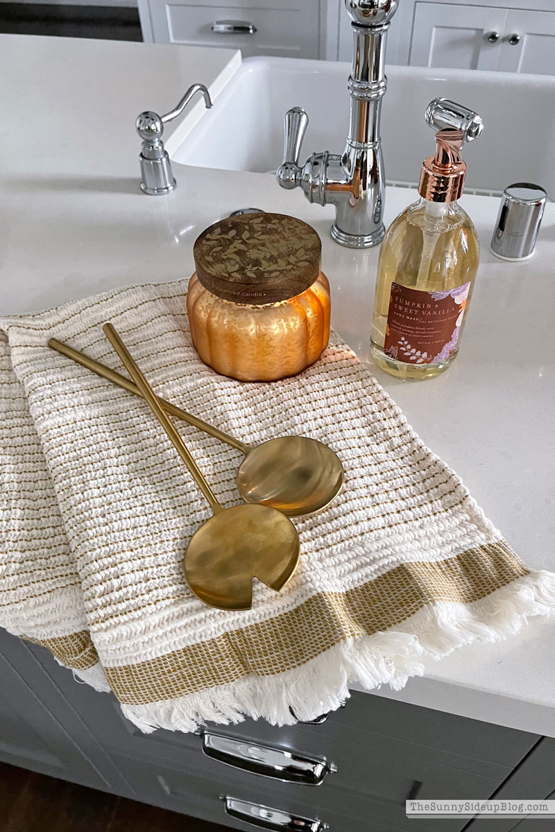Fall Favorites (Sunny Lifestyles)