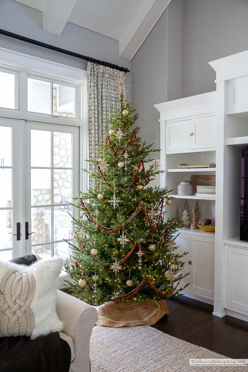 Christmas Favorites (Sunny Lifestyles)