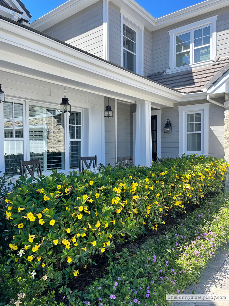 Fall Updates (Sunny Lifestyles)