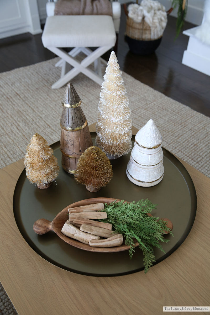 coffee table decor (Sunny Lifestyles)