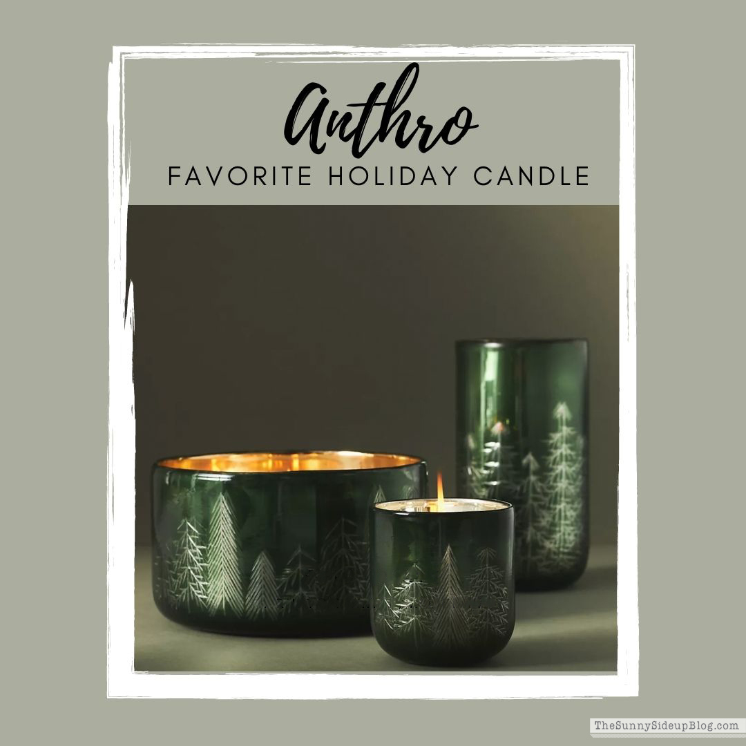coffee table decor (Sunny Lifestyles)