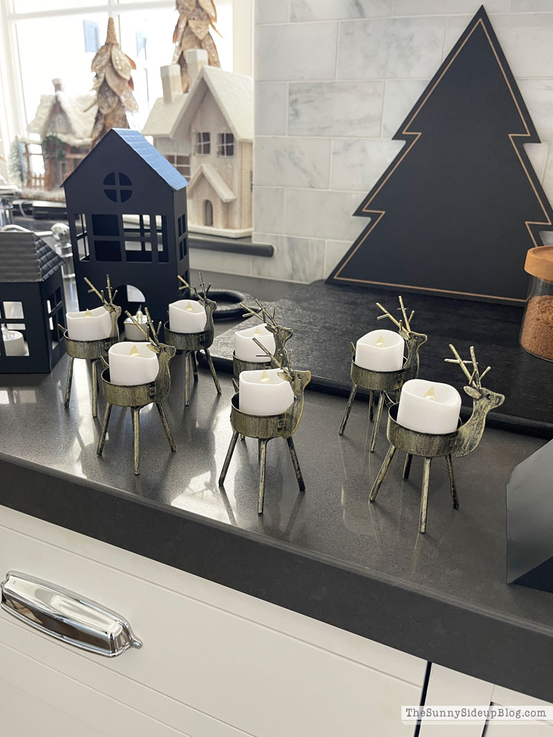 Christmas Prep (Sunny Lifestyles)