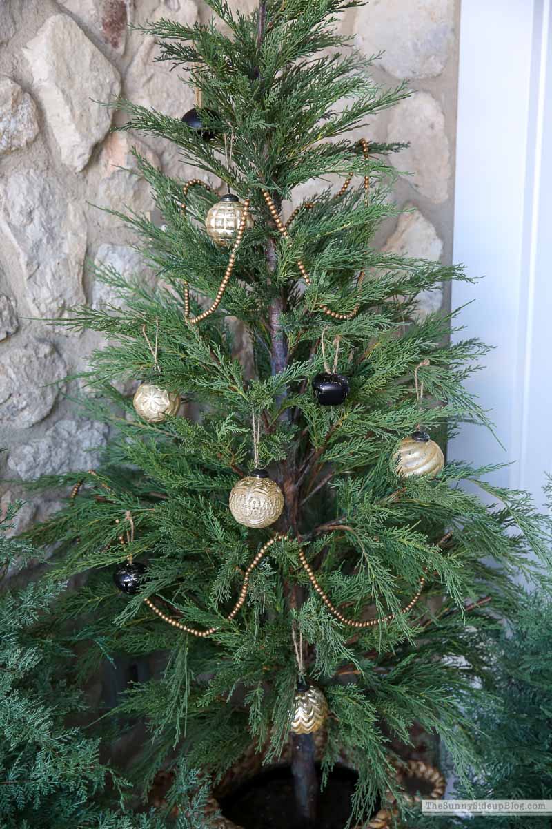 Green Christmas Porch (Sunny Lifestyles)