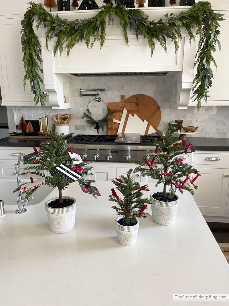 Money Tree Gift Ideas (Sunny Lifestyles)