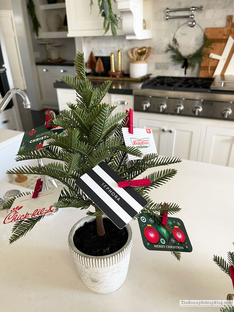 Money Tree Gift Ideas (Sunny Lifestyles)