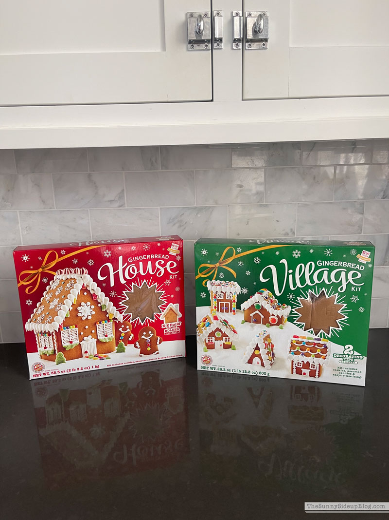 Easy Holiday Treats (Sunny Lifestyles)