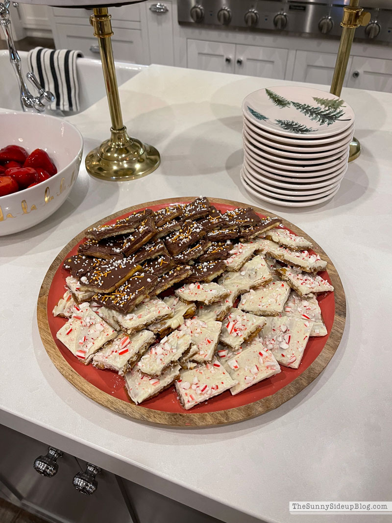 Holiday Party (Sunny Lifestyles)