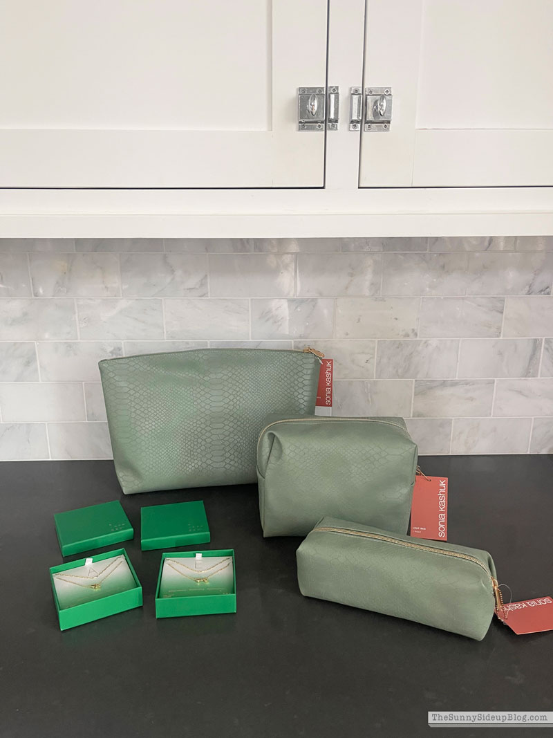 Money Tree Gift Ideas (Sunny Lifestyles)