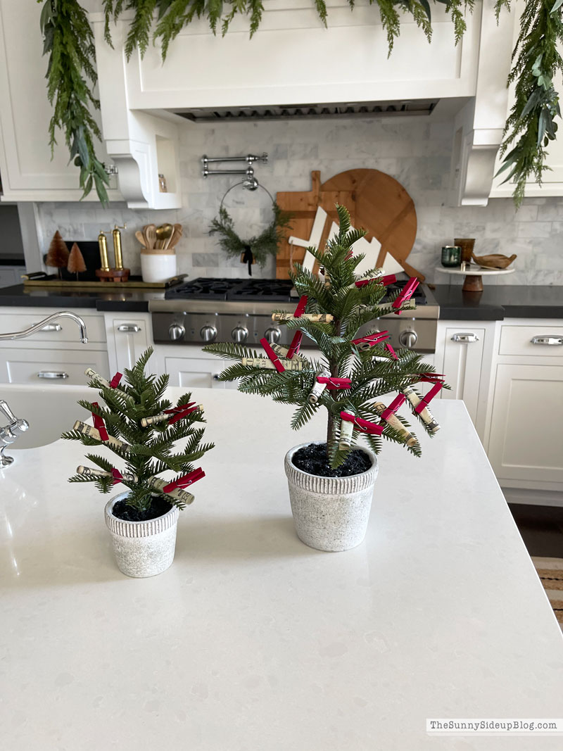 Money Tree Gift Ideas (Sunny Lifestyles)