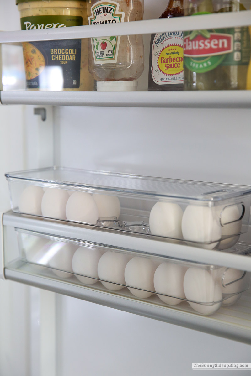 Fridge Organization (Sunny Lifestyles)