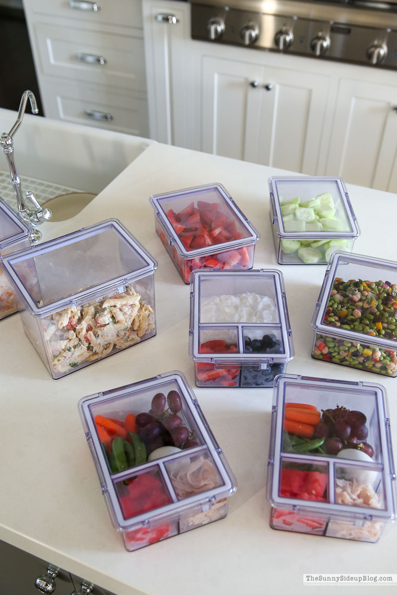 Fridge Organization (Sunny Lifestyles)