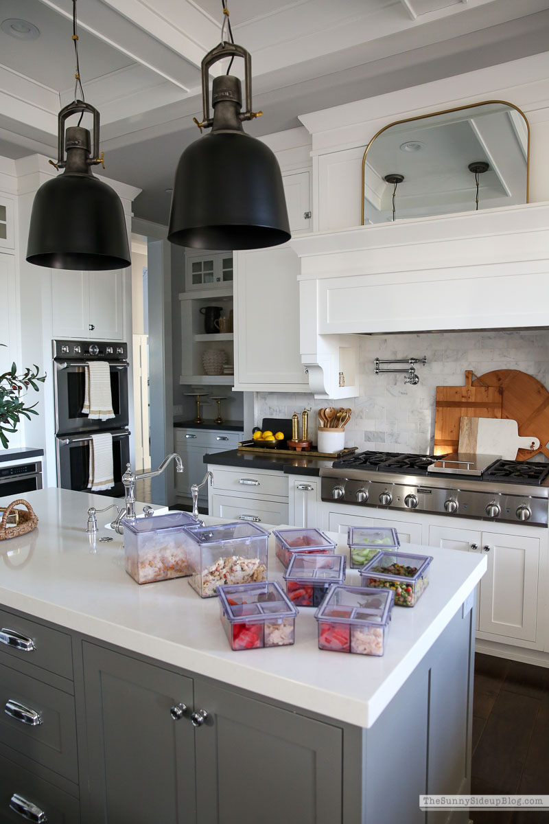 Fridge Organization (Sunny Lifestyles)