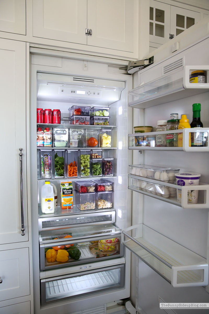 Fridge Organization (Sunny Lifestyles)