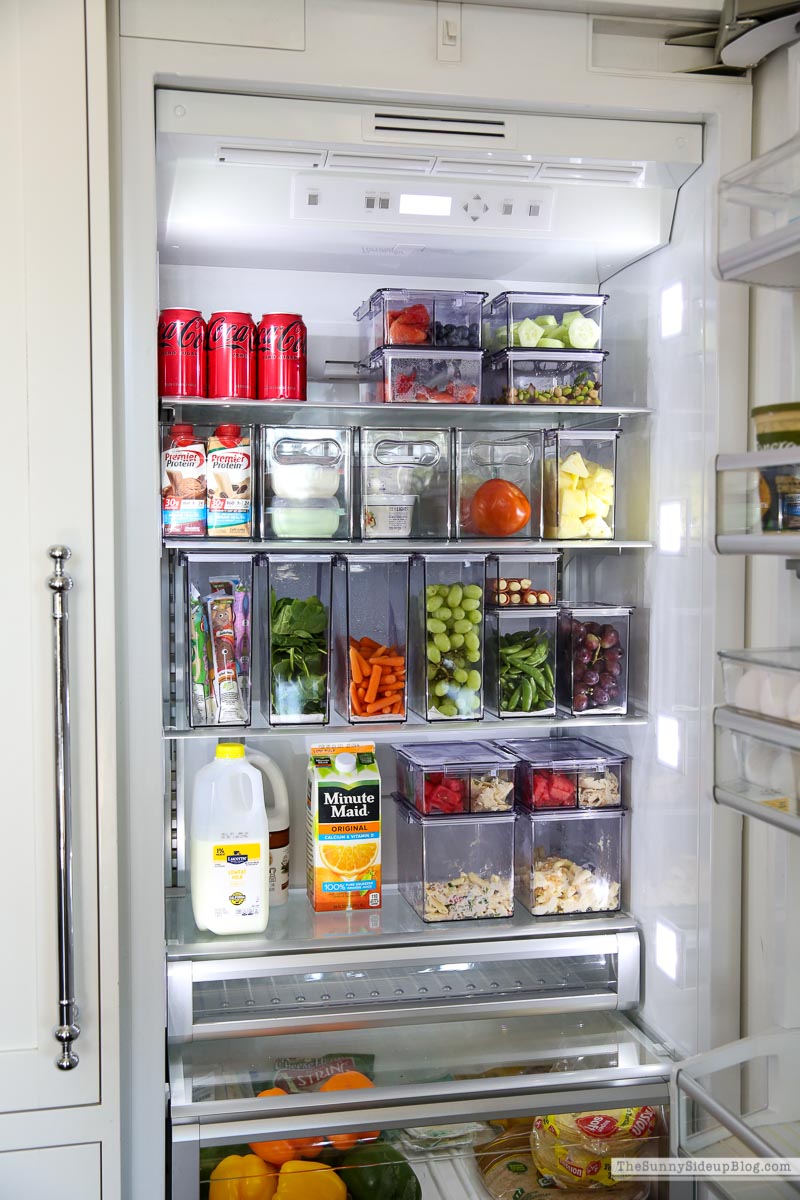 Fridge Organization (Sunny Lifestyles)