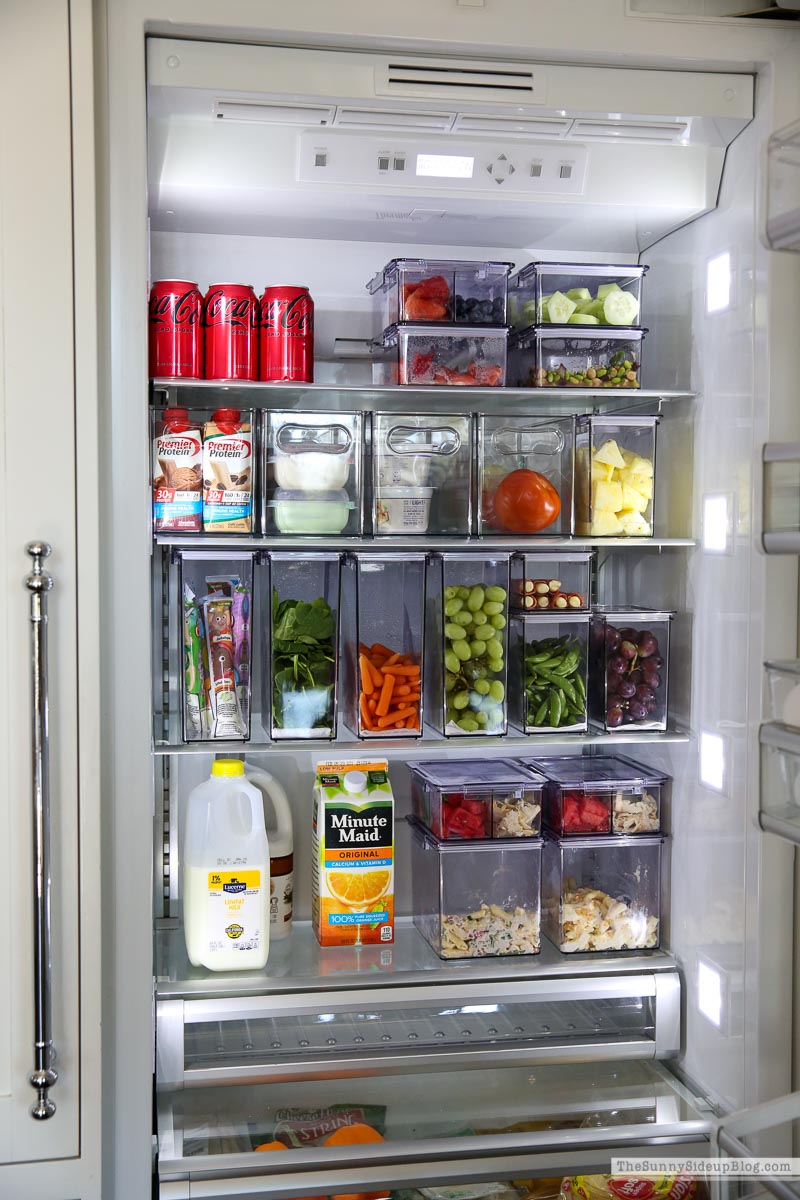 Fridge Organization (Sunny Lifestyles)