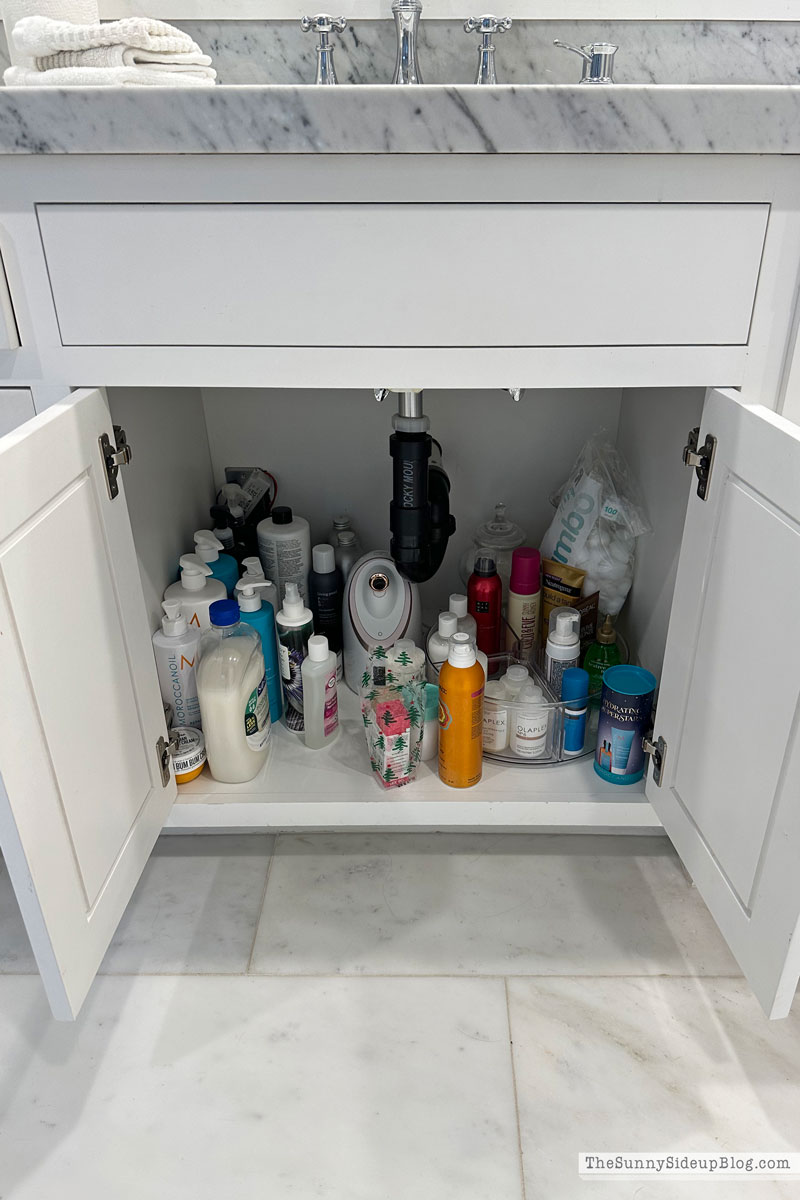 Organized Bathroom Drawers (Sunny Lifestyles)
