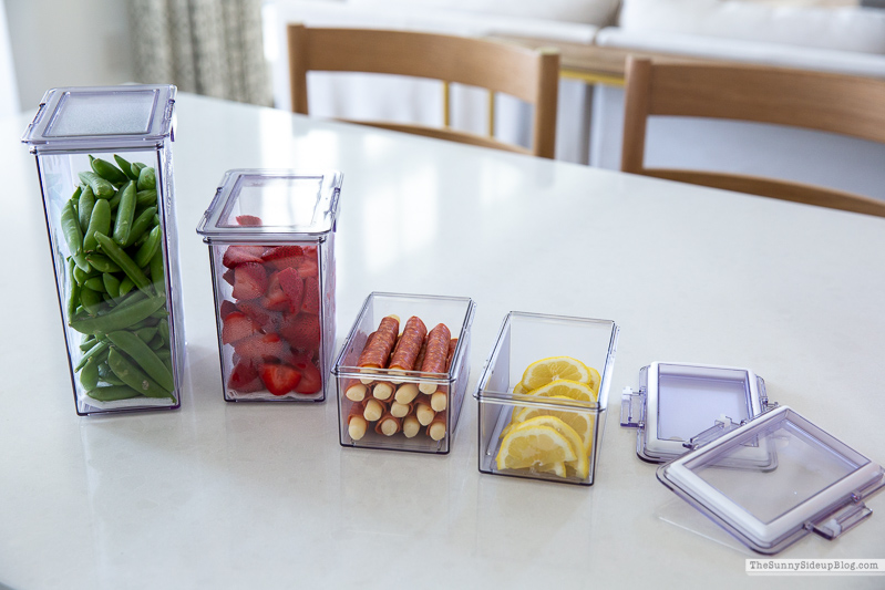 Fridge Organization (Sunny Lifestyles)