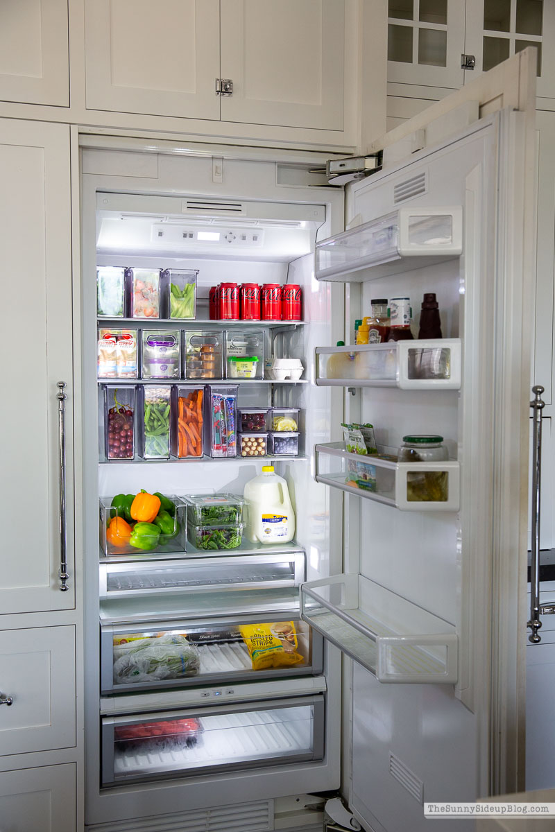 Fridge Organization (Sunny Lifestyles)
