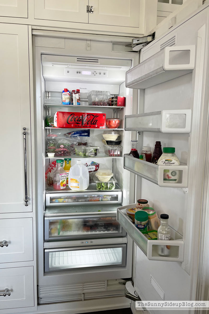 Fridge Organization (Sunny Lifestyles)