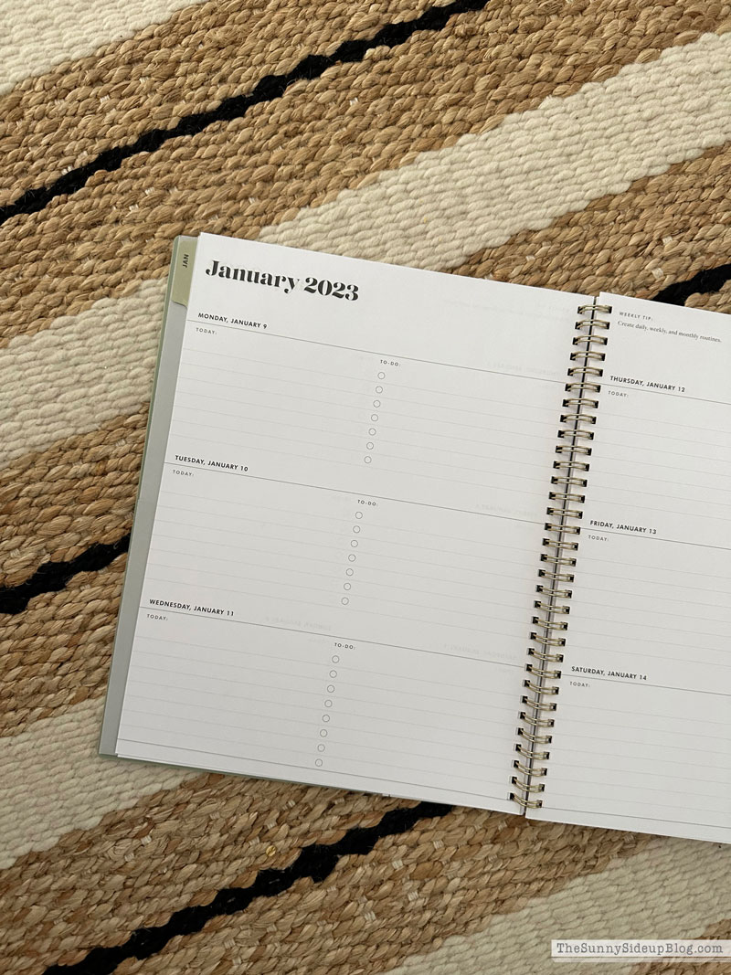 New Year/Organizing Challenge (Sunny Lifestyles)