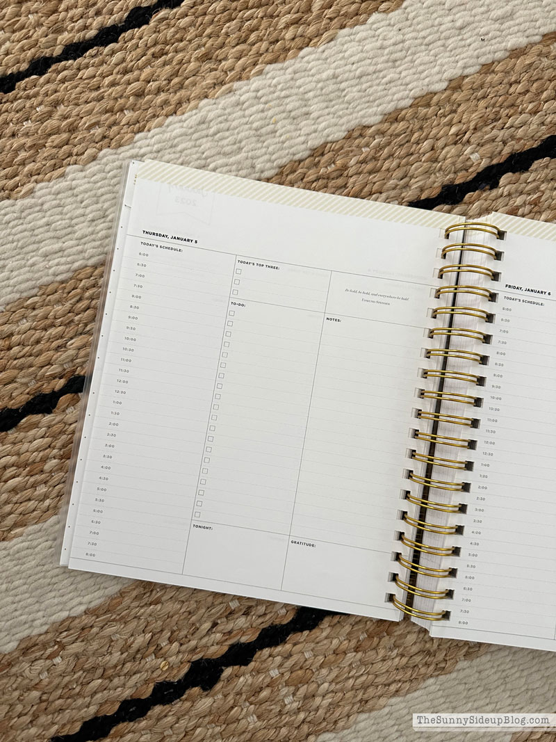 New Year/Organizing Challenge (Sunny Lifestyles)