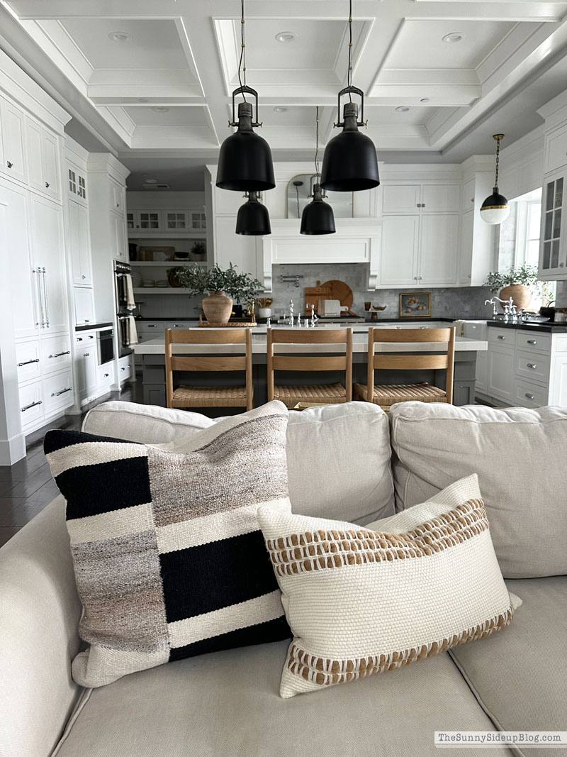 clean house (Sunny Lifestyles)