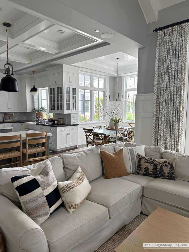 clean house (Sunny Lifestyles)