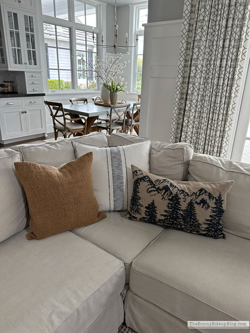 clean house (Sunny Lifestyles)