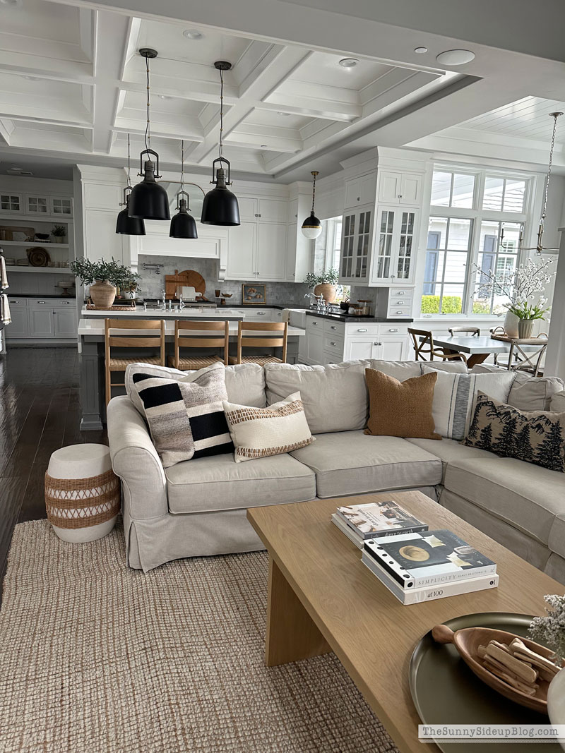 clean house (Sunny Lifestyles)